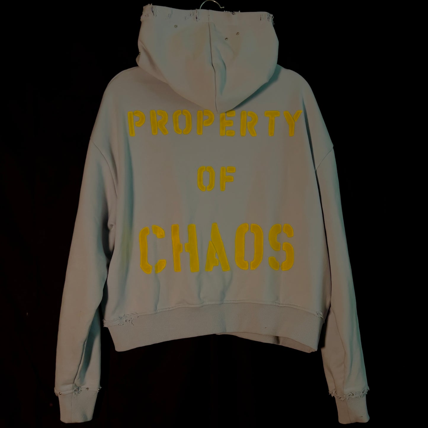 Amelloides Hoodie